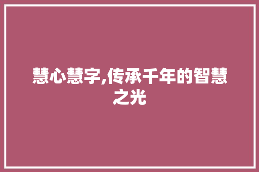 慧心慧字,传承千年的智慧之光