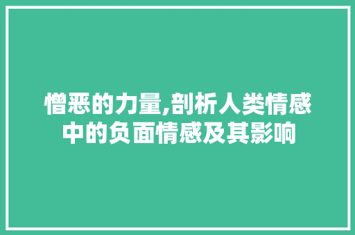 憎恶的力量,剖析人类情感中的负面情感及其影响