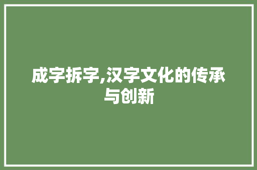 成字拆字,汉字文化的传承与创新 商业文案