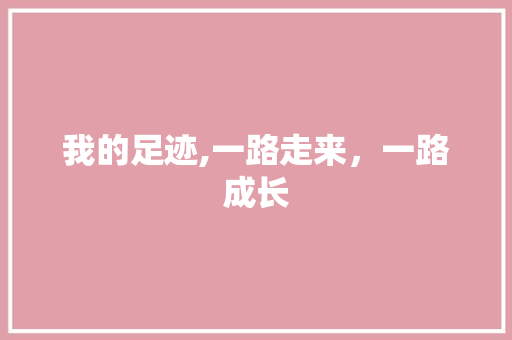 我的足迹,一路走来，一路成长