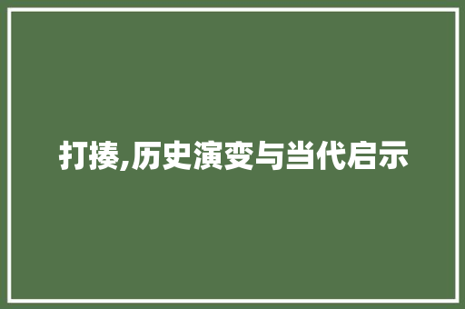 打揍,历史演变与当代启示