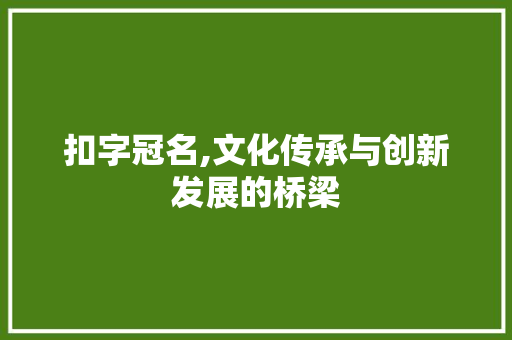 扣字冠名,文化传承与创新发展的桥梁