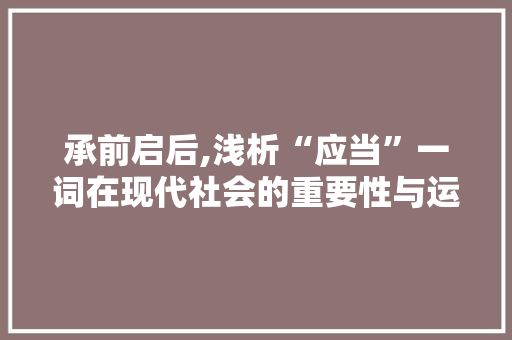承前启后,浅析“应当”一词在现代社会的重要性与运用