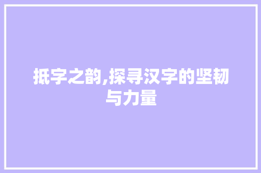 抵字之韵,探寻汉字的坚韧与力量