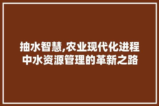 抽水智慧,农业现代化进程中水资源管理的革新之路