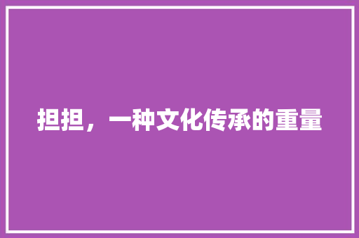 担担，一种文化传承的重量