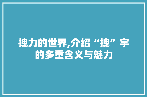 拽力的世界,介绍“拽”字的多重含义与魅力