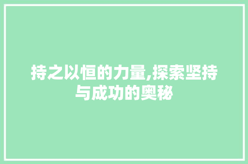 持之以恒的力量,探索坚持与成功的奥秘 写作技巧