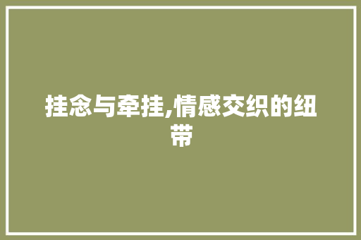 挂念与牵挂,情感交织的纽带