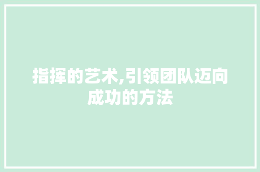 指挥的艺术,引领团队迈向成功的方法