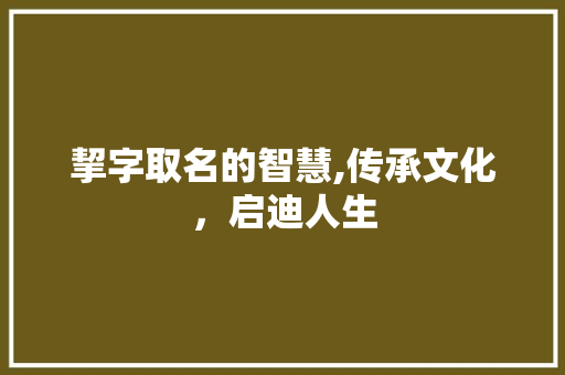 挈字取名的智慧,传承文化，启迪人生