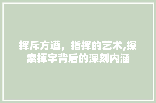 挥斥方遒，指挥的艺术,探索挥字背后的深刻内涵