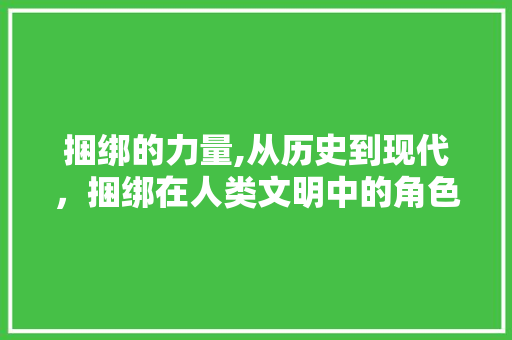 捆绑的力量,从历史到现代，捆绑在人类文明中的角色与影响