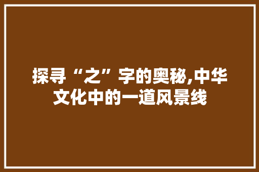 探寻“之”字的奥秘,中华文化中的一道风景线