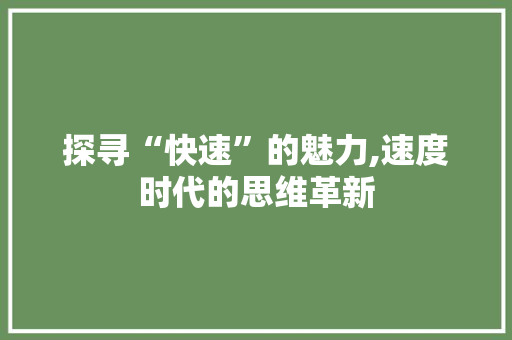 探寻“快速”的魅力,速度时代的思维革新