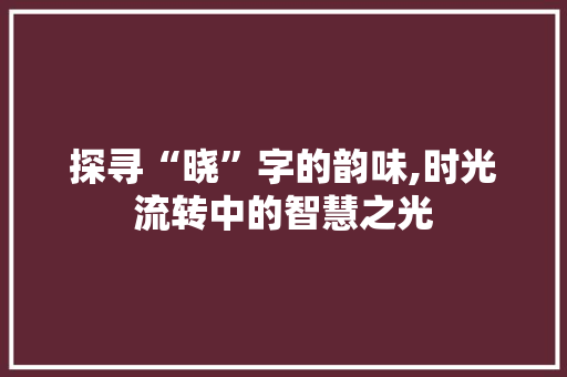 探寻“晓”字的韵味,时光流转中的智慧之光