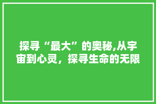 探寻“最大”的奥秘,从宇宙到心灵，探寻生命的无限可能