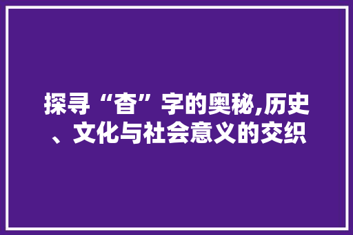 探寻“杳”字的奥秘,历史、文化与社会意义的交织