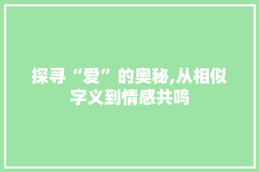 探寻“爱”的奥秘,从相似字义到情感共鸣 词汇积累