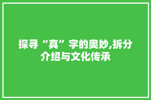 探寻“真”字的奥妙,拆分介绍与文化传承