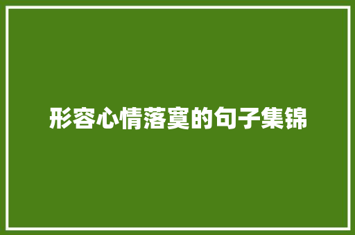 形容心情落寞的句子集锦