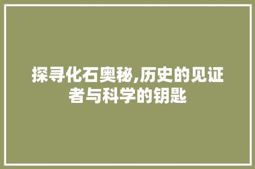探寻化石奥秘,历史的见证者与科学的钥匙