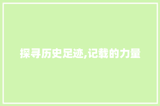 探寻历史足迹,记载的力量 词汇积累