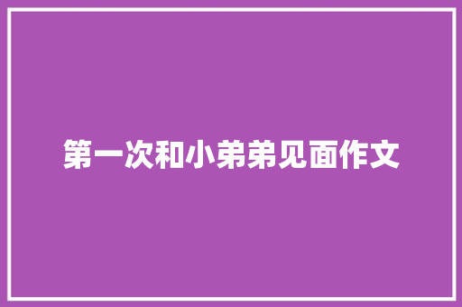 第一次和小弟弟见面作文