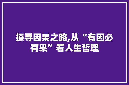 探寻因果之路,从“有因必有果”看人生哲理