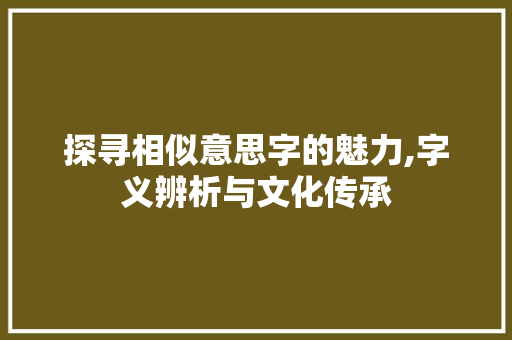 探寻相似意思字的魅力,字义辨析与文化传承 报告写作