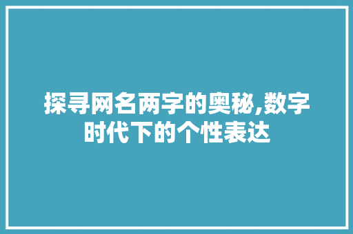 探寻网名两字的奥秘,数字时代下的个性表达