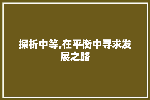 探析中等,在平衡中寻求发展之路