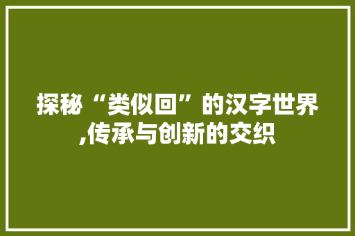 探秘“类似回”的汉字世界,传承与创新的交织