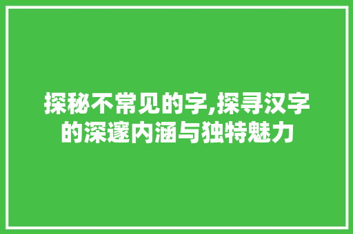 探秘不常见的字,探寻汉字的深邃内涵与独特魅力