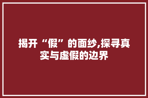 揭开“假”的面纱,探寻真实与虚假的边界