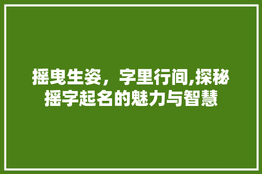 摇曳生姿，字里行间,探秘摇字起名的魅力与智慧