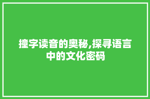 撞字读音的奥秘,探寻语言中的文化密码