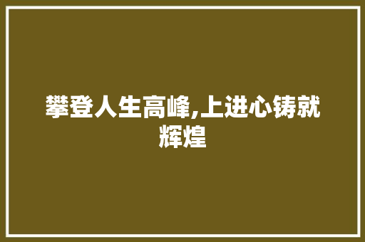 攀登人生高峰,上进心铸就辉煌