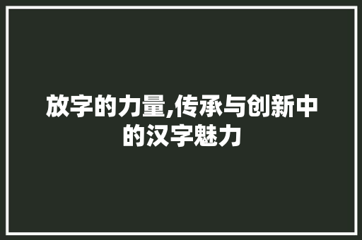 放字的力量,传承与创新中的汉字魅力