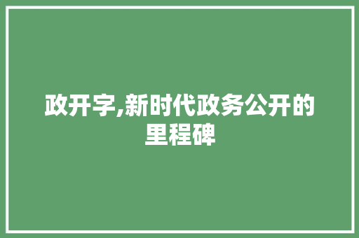 政开字,新时代政务公开的里程碑