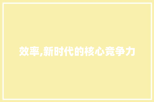 效率,新时代的核心竞争力