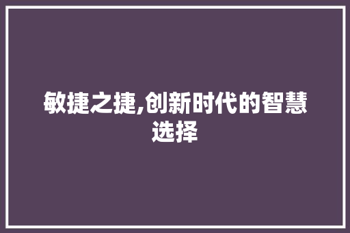 敏捷之捷,创新时代的智慧选择