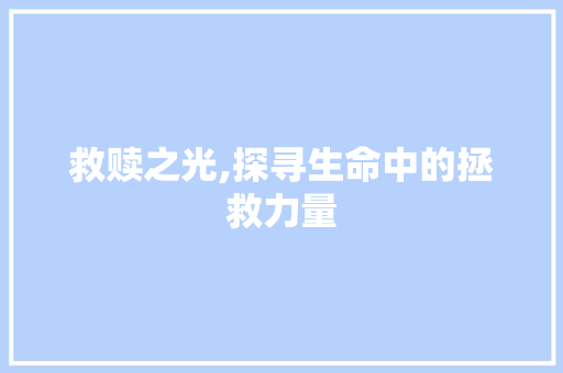 救赎之光,探寻生命中的拯救力量