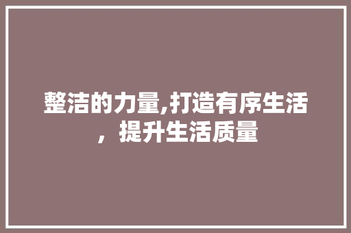 整洁的力量,打造有序生活，提升生活质量