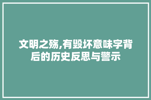 文明之殇,有毁坏意味字背后的历史反思与警示