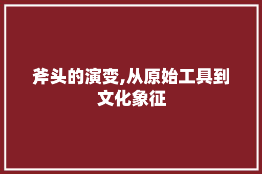 斧头的演变,从原始工具到文化象征