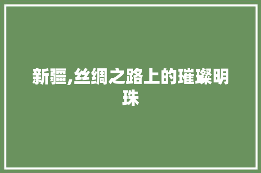 新疆,丝绸之路上的璀璨明珠 报告写作