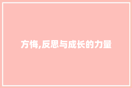 方悔,反思与成长的力量