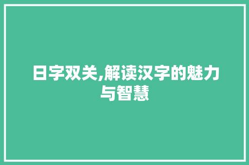 日字双关,解读汉字的魅力与智慧