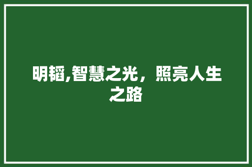 明韬,智慧之光，照亮人生之路